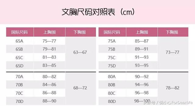 内衣上下围的正确测量（手把手教你正确测量内衣尺码）(8)