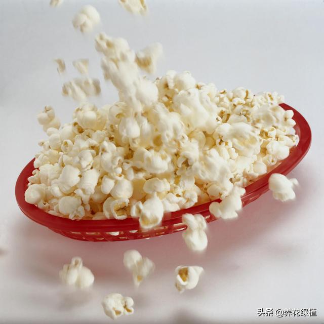 正月十五有哪些习俗（有哪些传统习俗）(6)
