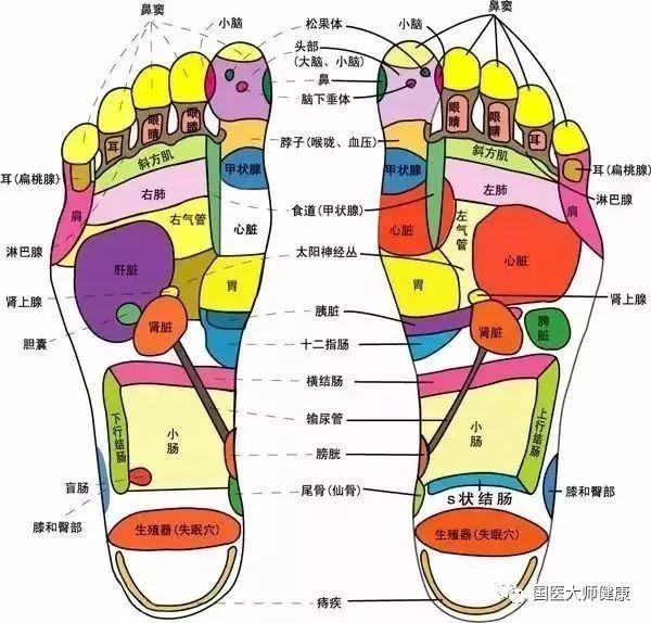 适合懒人的12种运动 这几个运动在家就可完成(5)