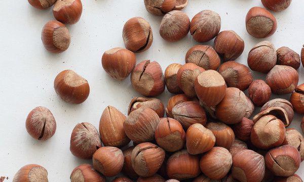 绿色纯天然食材30分钟吸收营养（这些绿色天然保健食材都来自大兴安岭的深山中）(4)