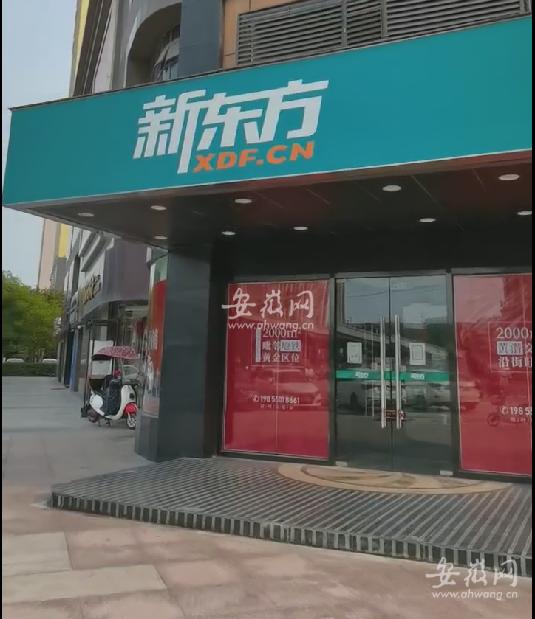 新东方在线教育是怎么样的（新东方在线公告称将停止义务教育学科类培训）(2)
