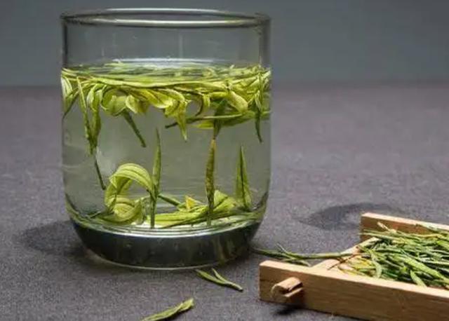 绿茶的种类有哪四种（绿茶的8大品种有哪些）(4)