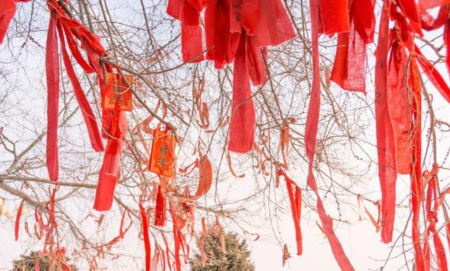 重阳节三大风俗是什么，重阳节的2个忌讳及3个风俗