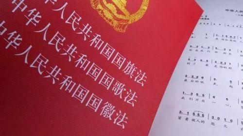 村民举错日本国旗当场被击毙（用国旗当红布摆放祭品并多次践踏）(3)