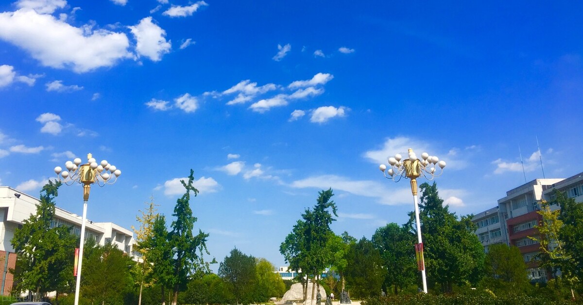 山东可以专升本的学校有哪些-（山东专升本的学校有哪些）
