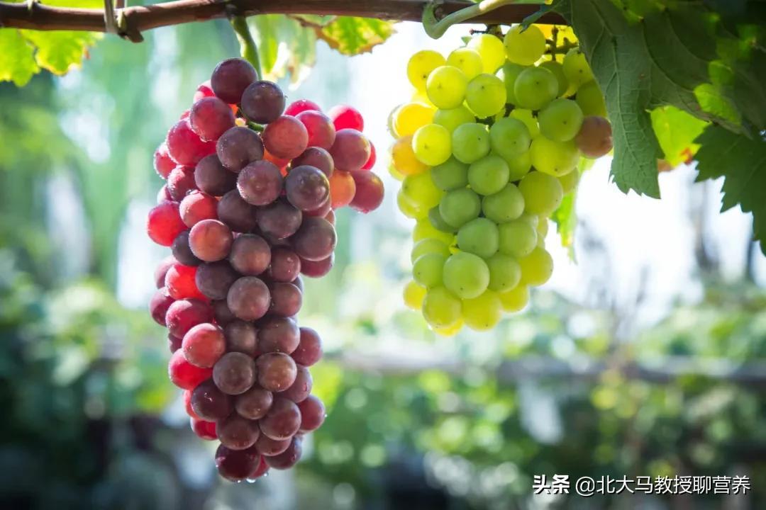 嘉宝果和葡萄的味道很像是吗（嘉宝果是什么水果图片）