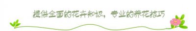 ​蝴蝶兰冬天怎么养才会开花（蝴蝶兰冬天怎么养护）