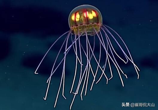 马里亚纳海沟恐怖在哪(马里亚纳海沟有多深多少米)