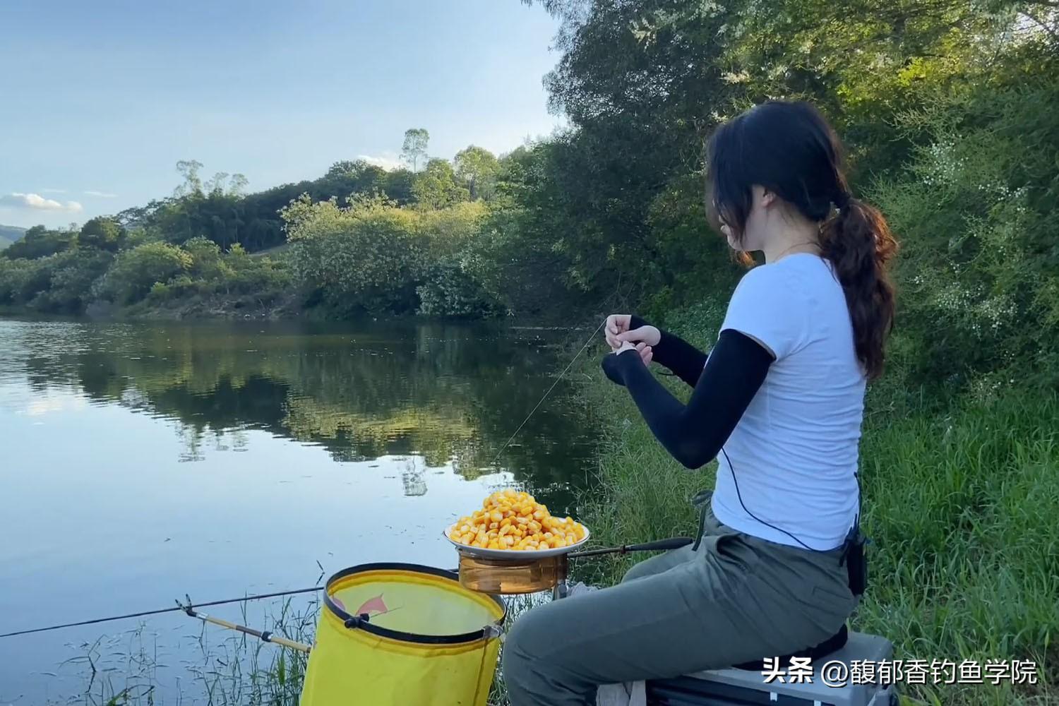 用玉米粒可以钓什么鱼(玉米钓什么鱼比较好)