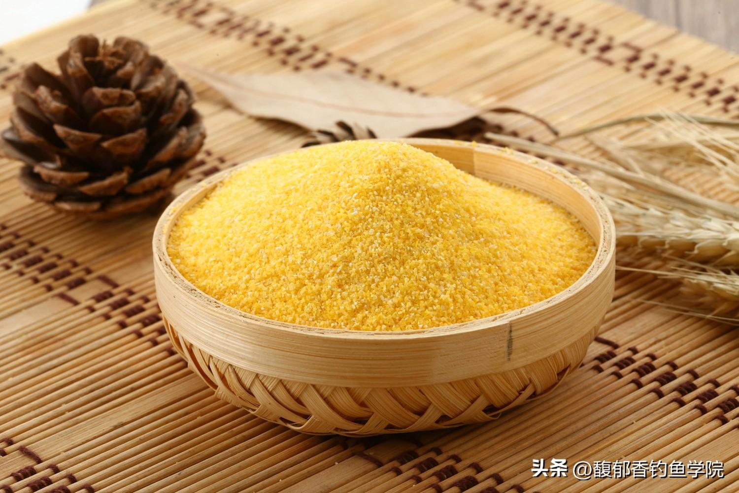 用玉米粒可以钓什么鱼(玉米钓什么鱼比较好)