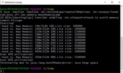 ​关键的Java JVM选项和参数