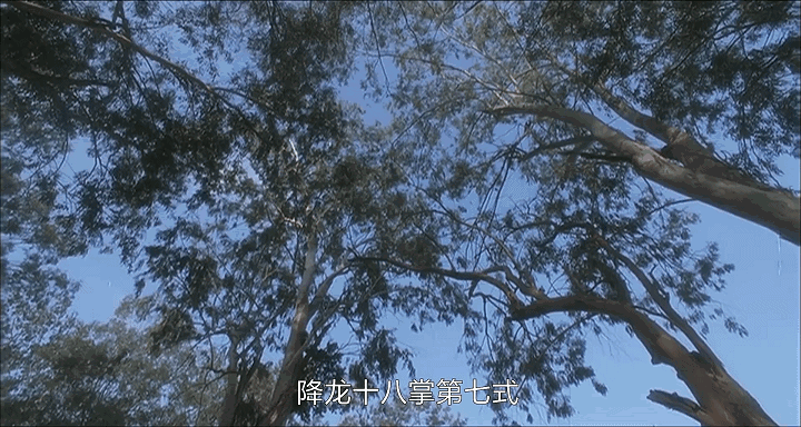 上映30年被周星驰魔改，评分却飙升！《武状元苏乞儿》为何那么牛