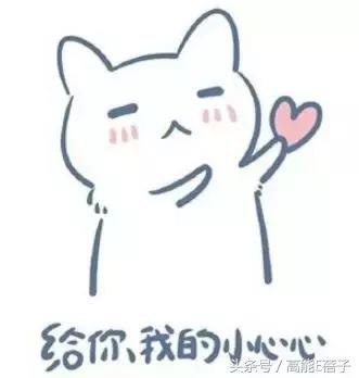 关悦主演的电视剧有哪些名字(关悦所有电视剧大全)
