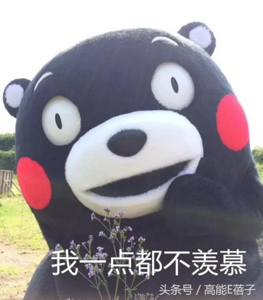 关悦主演的电视剧有哪些名字(关悦所有电视剧大全)