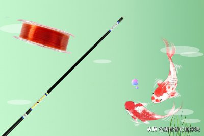 ​怎么分辨鱼线的好坏（鱼线线号怎么选）