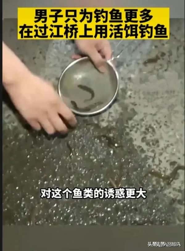 用活泥鳅钓鱼违法吗（用泥鳅钓鱼犯法吗）