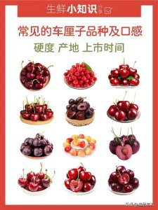 ​车厘子品种推荐（车厘子哪个品种好吃）