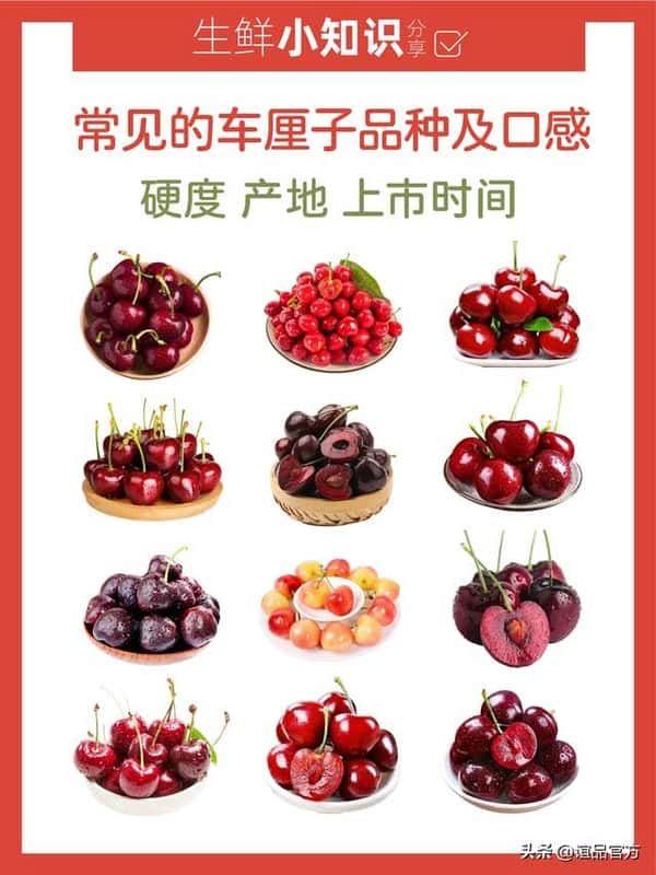 车厘子品种推荐（车厘子哪个品种好吃）