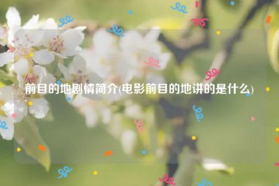 ​前目的地剧情简介(电影前目的地讲的是什么)