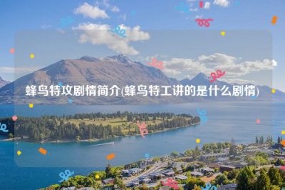 ​蜂鸟特攻剧情简介(蜂鸟特工讲的是什么剧情)
