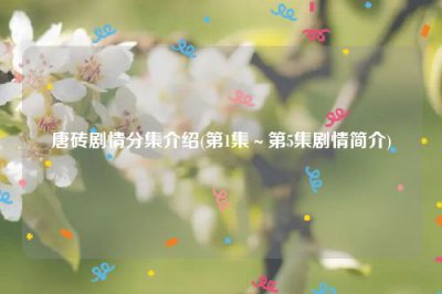 ​唐砖剧情分集介绍(第1集～第5集剧情简介)