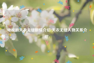 ​电视剧天衣无缝剧情介绍(天衣无缝人物关系介绍)