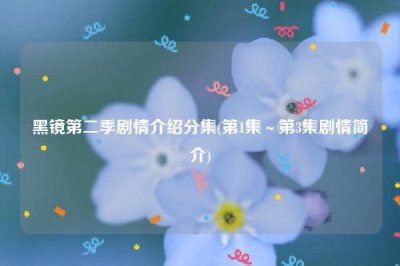 ​黑镜第二季剧情介绍分集(第1集～第3集剧情简介)