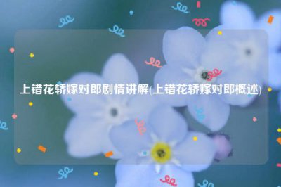 ​上错花轿嫁对郎剧情讲解(上错花轿嫁对郎概述)