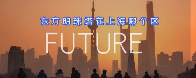 ​东方明珠塔在上海哪个区？虽然是5A级景区，本地游客为啥少去打卡