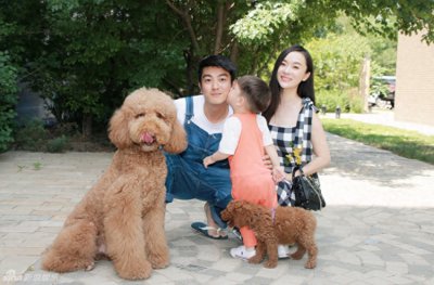 ​巨型贵宾犬：外表虽然长得像羊驼，其实是聪明又黏人的孩子