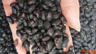 ​淡豆豉功效与作用主要治什么病？淡豆豉作用与主治