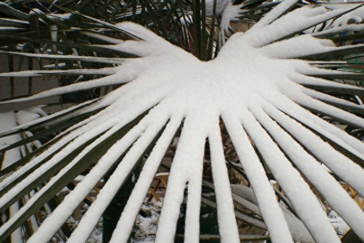 看泉城雪景读老舍《济南的冬天》，那感觉，太美了，自己体会