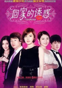 ​电视剧回家的诱惑剧情介绍(这部剧当年超火爆，估计都看过吧！)