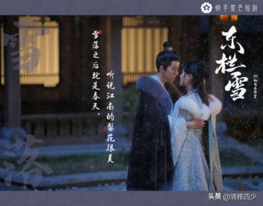 ​电视剧东栏雪剧情介绍(这部剧你们在追没？)