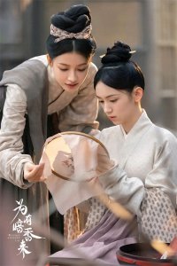 ​《为有暗香来》剧情介绍：全员高颜值实力派，大家有在追剧？