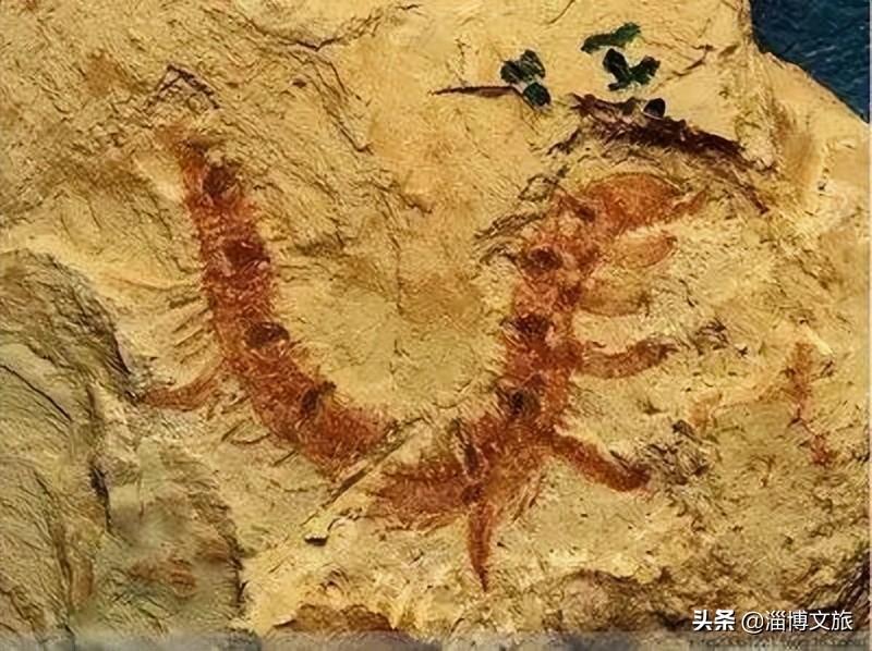 中国世界文化遗产58个(中国56处世界遗产名录)
