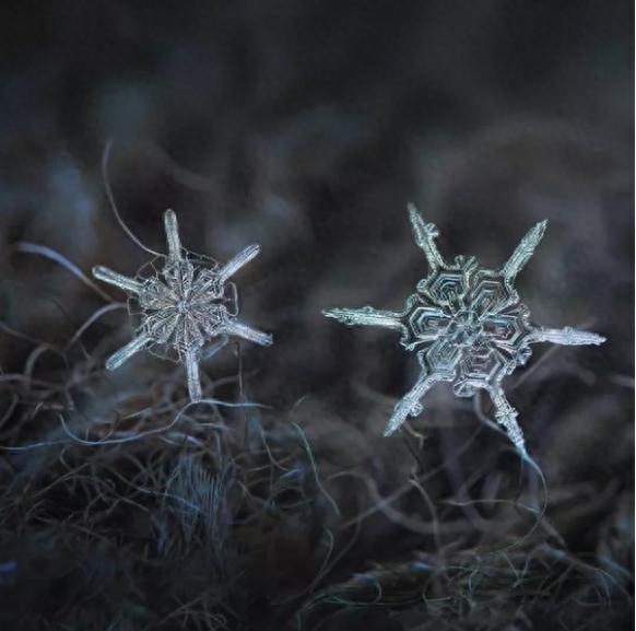 你知道雪花有几种形状吗？这些你不一定见过