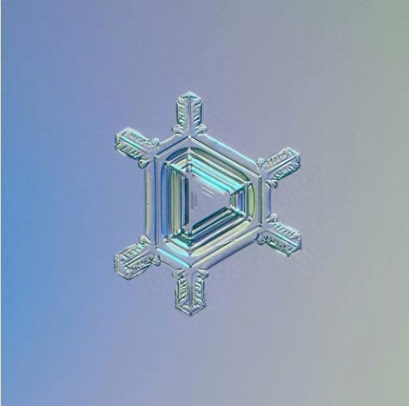 你知道雪花有几种形状吗？这些你不一定见过