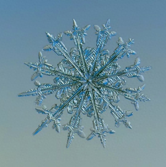 你知道雪花有几种形状吗？这些你不一定见过