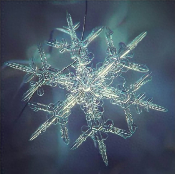 你知道雪花有几种形状吗？这些你不一定见过