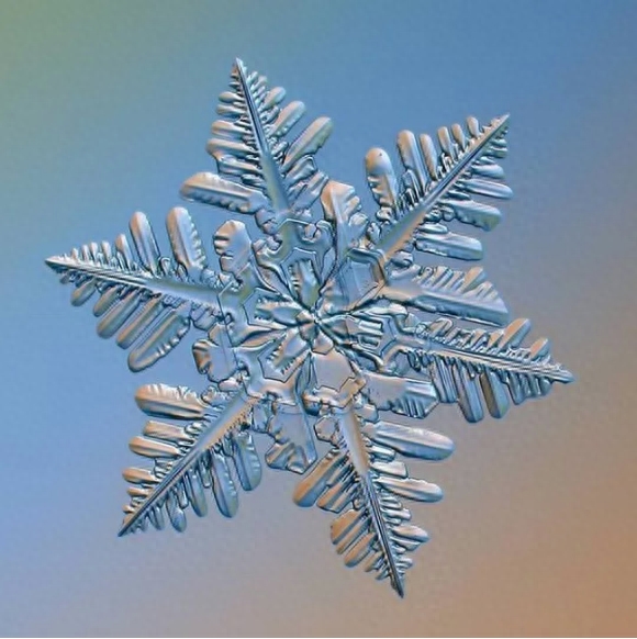 你知道雪花有几种形状吗？这些你不一定见过