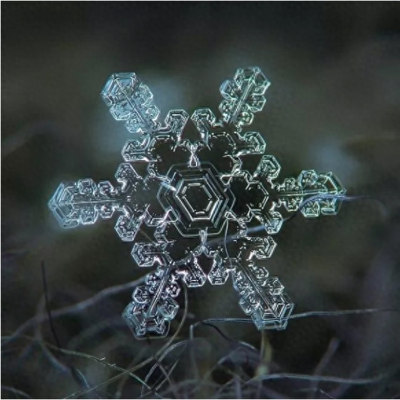 你知道雪花有几种形状吗？这些你不一定见过