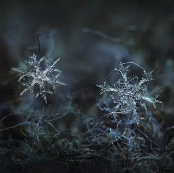 你知道雪花有几种形状吗？这些你不一定见过