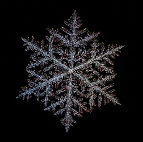 你知道雪花有几种形状吗？这些你不一定见过