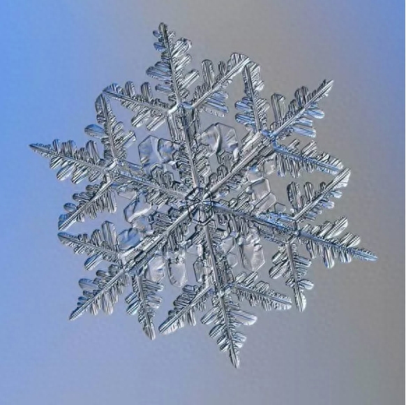 你知道雪花有几种形状吗？这些你不一定见过