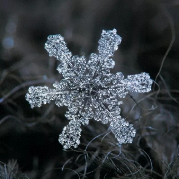 你知道雪花有几种形状吗？这些你不一定见过