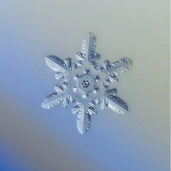 你知道雪花有几种形状吗？这些你不一定见过