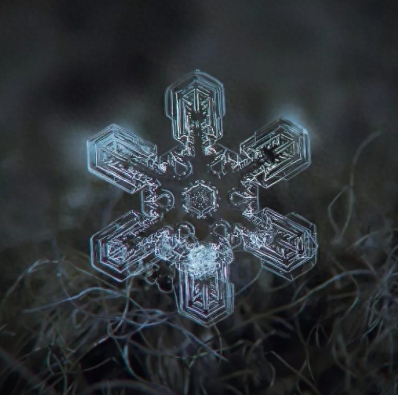 你知道雪花有几种形状吗？这些你不一定见过