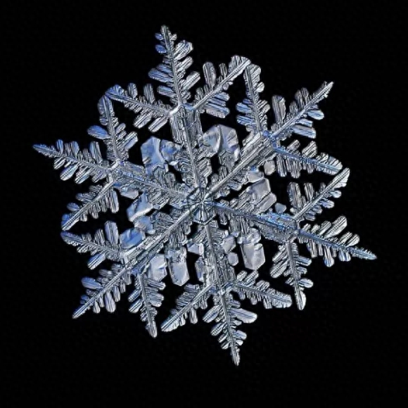 你知道雪花有几种形状吗？这些你不一定见过