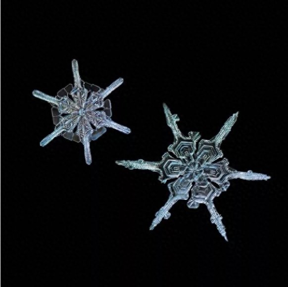 你知道雪花有几种形状吗？这些你不一定见过